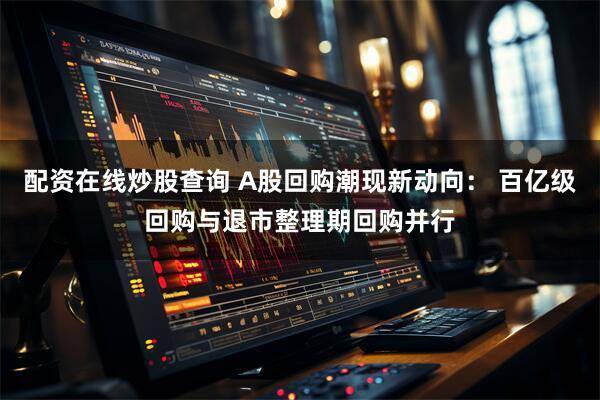 配资在线炒股查询 A股回购潮现新动向： 百亿级回购与退市整理期回购并行